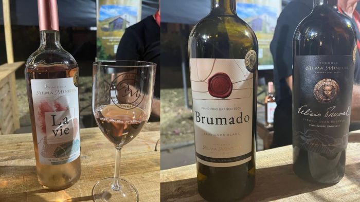 Vinhos da vinícola Alma Mineira