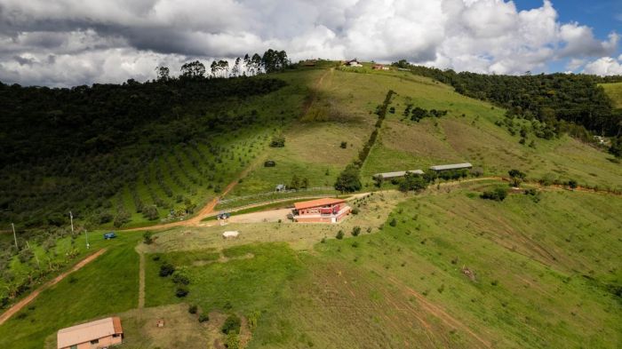 Fazenda Tuiuva, em Maria da Fé