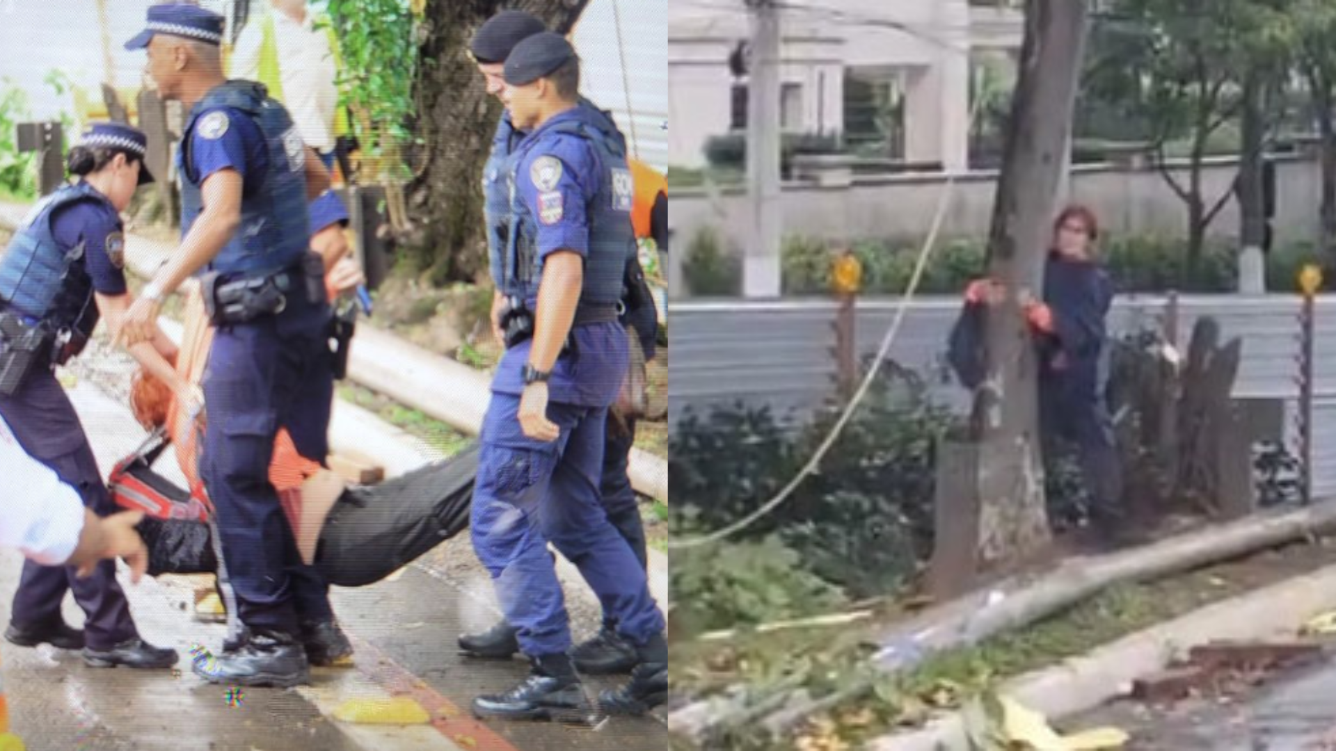Vereadora é removida a força ao tentar evitar que árvores fossem cortadas em São Paulo