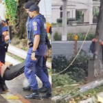 Vereadora é removida a força ao tentar evitar que árvores fossem cortadas em São Paulo