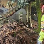 Juiz de Fora lidera em MG e ocupa 3º lugar no país de casas em áreas de encosta