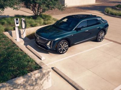 • Divulgação