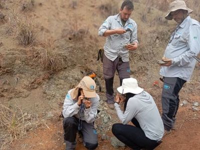 Insumos são para motores elétricos e turbinas eólicas