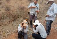 Alto Paranaíba entra no radar de pesquisa de terras-raras e minerais estratégicos