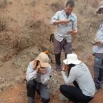 Alto Paranaíba entra no radar de pesquisa de terras-raras e minerais estratégicos