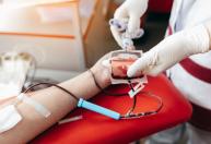 Doação de sangue: nova regra acaba com idade máxima para doadores regulares
