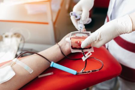 Doação de sangue: nova regra acaba com idade máxima para doadores regulares