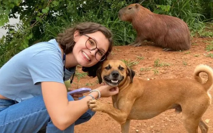 Cachorro caramelo viralizou ao posar para foto com universitária