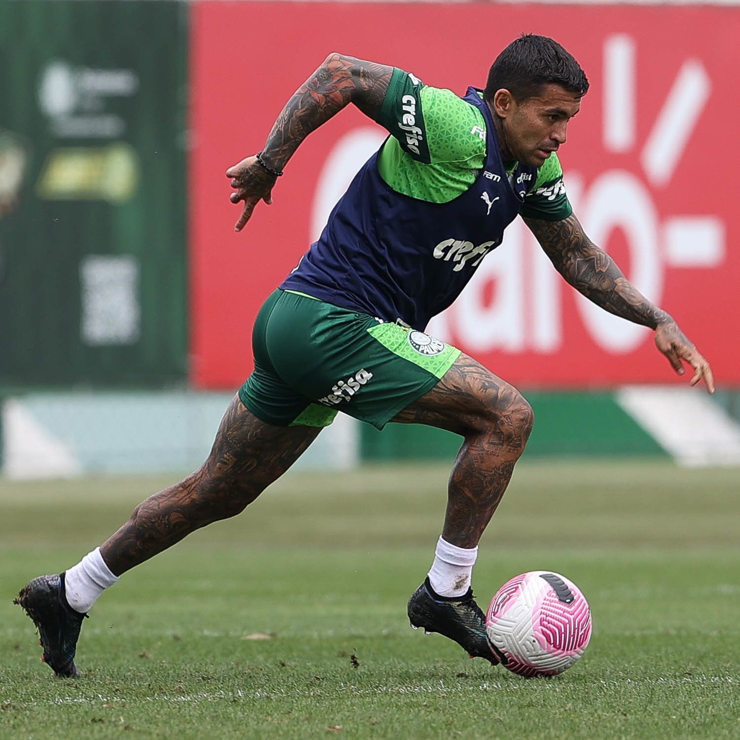 Dudu nega folga e treina quase todos os dias no Palmeiras
