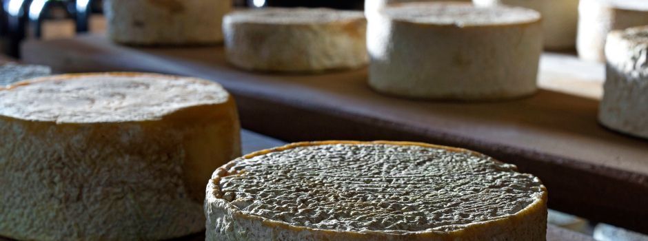 Minas terá rotas do Queijo da Canastra e do Serro