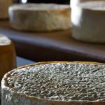 Minas terá rotas do Queijo da Canastra e do Serro