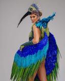 Eduarda Braum, Miss Supranational Brasil 2025