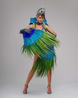 Eduarda Braum, Miss Supranational Brasil 2025