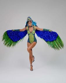 Eduarda Braum, Miss Supranational Brasil 2025
