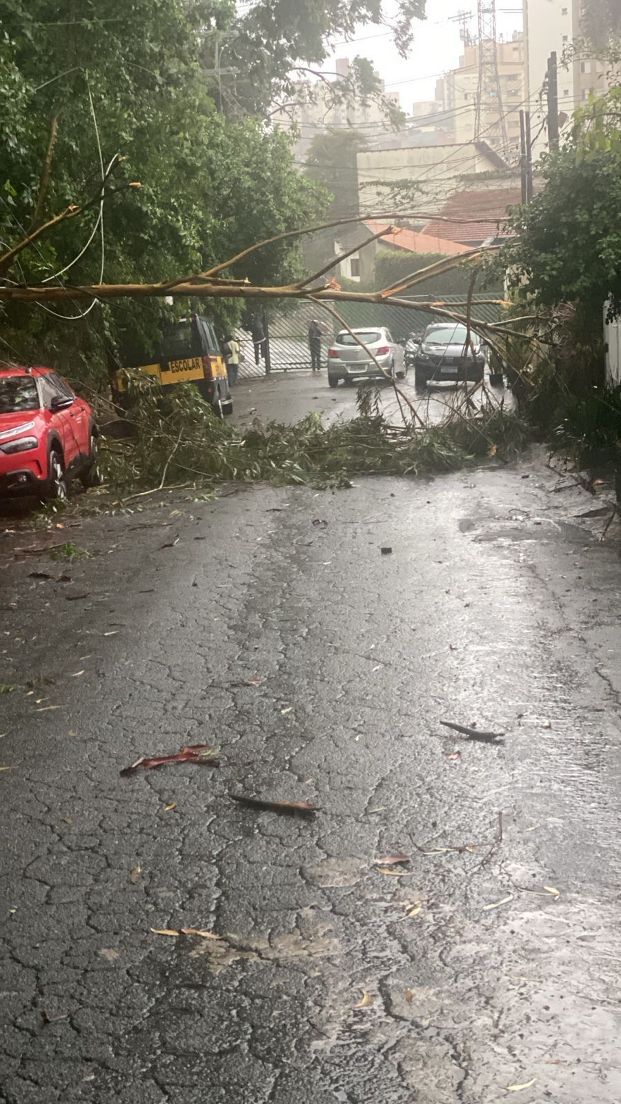 Temporal em SP deixa 118 mil usuários sem luz