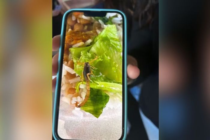 O escorpião estava em cima de uma folha de alface e a comida foi servida aos estudantes entre 14 e 17 anos, que cursam o ensino médio, em São Paulo. O escorpião estava em cima de uma folha de alface e a comida foi servida aos estudantes entre 14 e 17 anos, que cursam o ensino médio, em São Paulo.