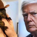 Entenda por que a morte do 'esquilo influencer' virou tema da campanha de Donald Trump