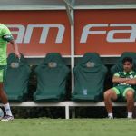 Palmeiras treina, e Estêvão não preocupa para sequência no Brasileiro