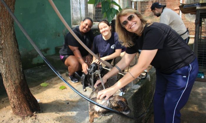 Voluntários e servidores realizam atividades de bem-estar aos animais do Canil Municipal