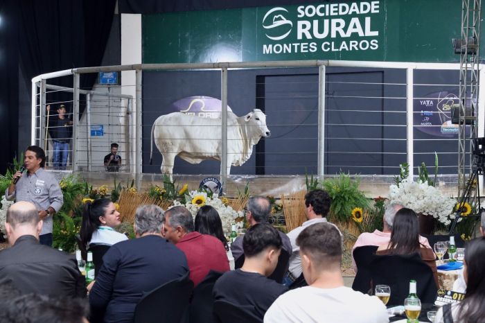 Leilão de vacas, bezerros e touros é um dos momentos mais aguardados na Expomontes