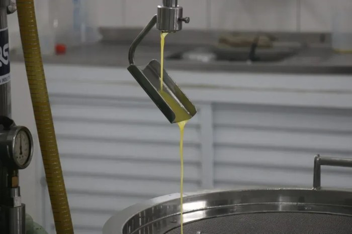 Extração de azeite na EPAMIG