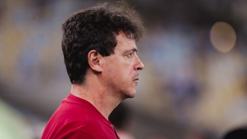 Como Fernando Diniz vê a oportunidade de substituir Seabra no Cruzeiro