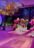 Festa comemora os 4 anos da WePink, empresa de Virginia Fonseca e Samara Pink