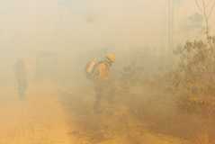 Incêndio na Floresta Nacional de Brasília