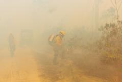 Incêndio na Floresta Nacional de Brasília
