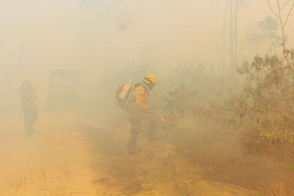 Incêndio na Floresta Nacional de Brasília