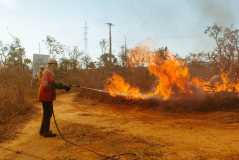 Incêndio na Floresta Nacional de Brasília