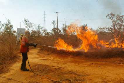 Incêndio na Floresta Nacional de Brasília