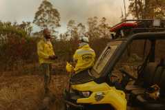 Incêndio na Floresta Nacional de Brasília