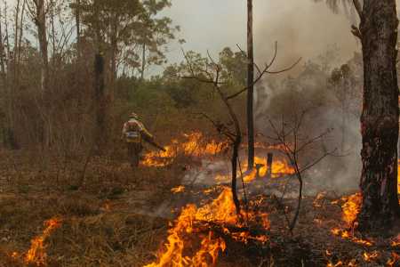 Incêndio na Floresta Nacional de Brasília