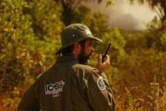 Incêndio na Floresta Nacional de Brasília