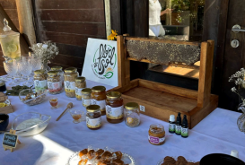 Apicultura Flor de Sol tem produtos, fornece mel como matéria-prima e realiza atividades com crianças em escolas