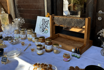 Apicultura Flor de Sol tem produtos, fornece mel como matéria-prima e realiza atividades com crianças em escolas