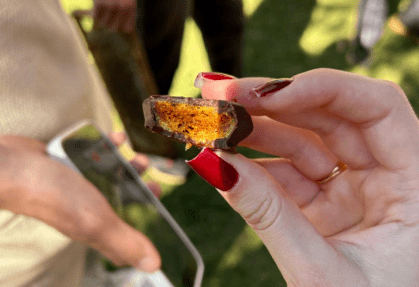 Apicultura Flor de Sol tem produtos, fornece mel como matéria-prima e realiza atividades com crianças em escolas