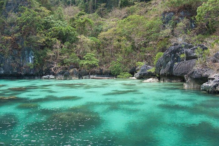 Floresta em formações cársticas de calcário, Baía de Bacuit, Palawan, Filipinas