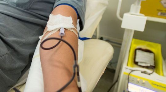 Imagem mostra momento da doação de sangue