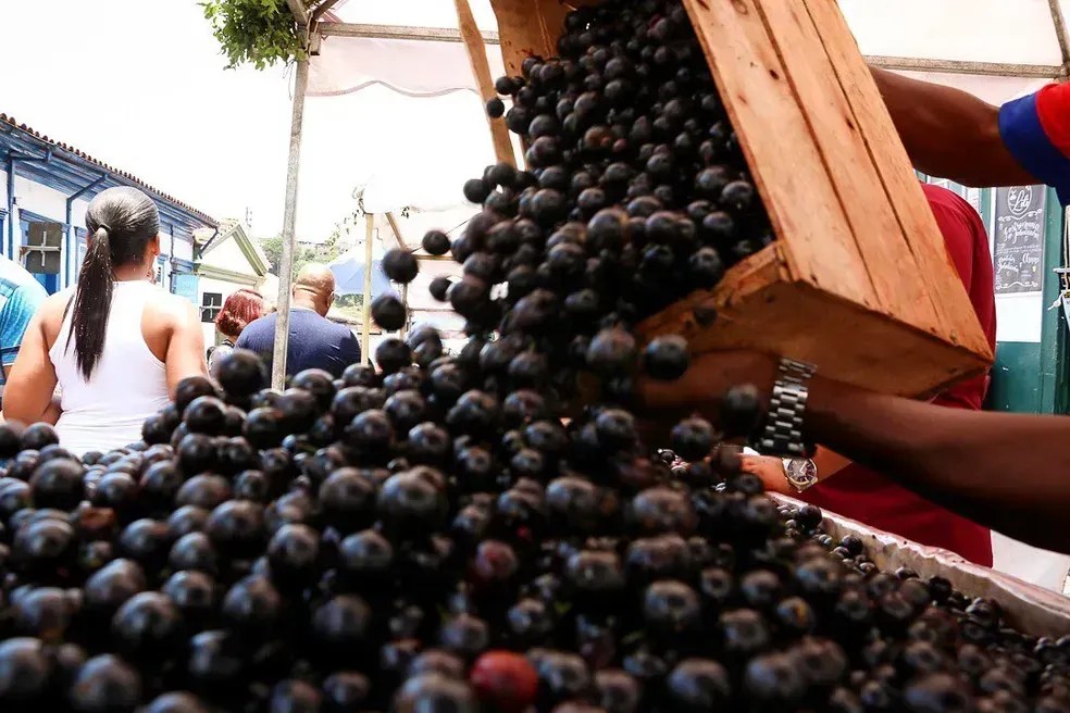 Festa da Jabuticaba celebra cultura e gastronomia em Ouro Preto