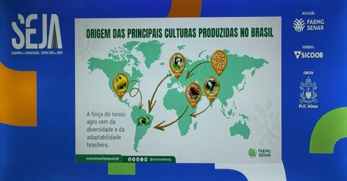 Seja é realizado em Belo Horizonte