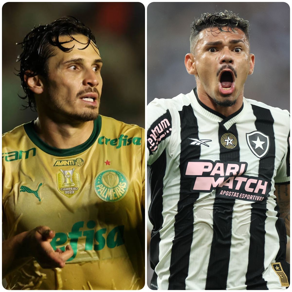 Palmeiras ultrapassa Botafogo e lidera chances de conquistar o Brasileirão; compare