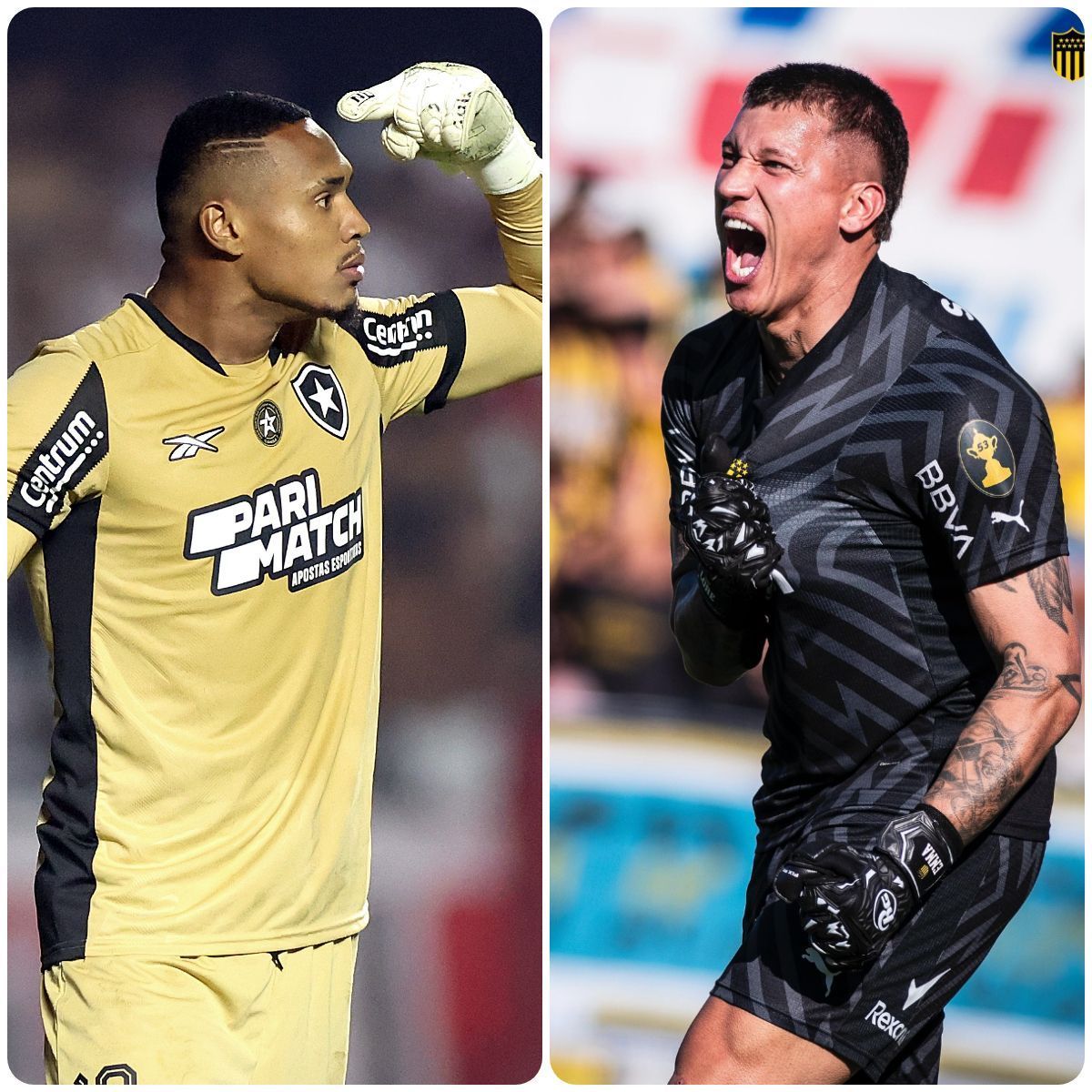 Botafogo recebe o Peñarol, mais um gigante no caminho da Glória Eterna