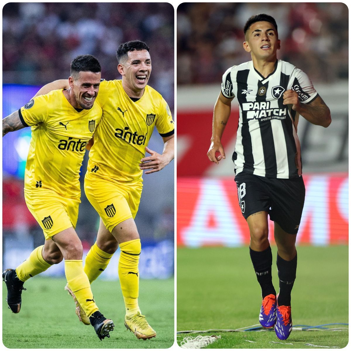 Peñarol x Botafogo: veja a ordem do mando das semifinais da Libertadores