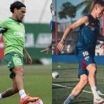 Palmeiras x Fortaleza: horário e onde assistir ao vivo pelo Brasileirão