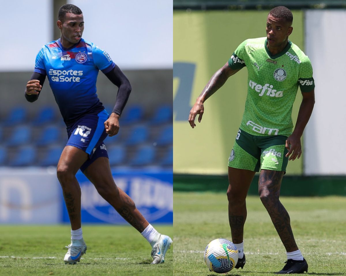 Bahia x Palmeiras: horário e onde assistir ao vivo pelo Brasileirão