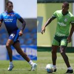 Bahia x Palmeiras: horário e onde assistir ao vivo pelo Brasileirão
