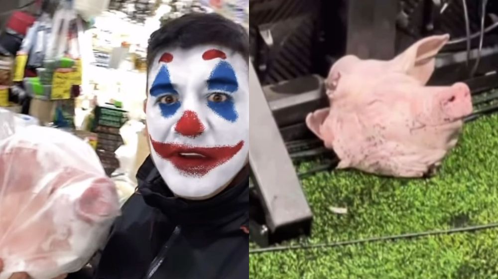 Em vídeo, torcedor diz ter comprado cabeça de porco antes de Corinthians x Palmeiras