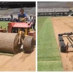 Atlético inicia plantio do novo gramado da Arena MRV para final da Copa do Brasil; veja